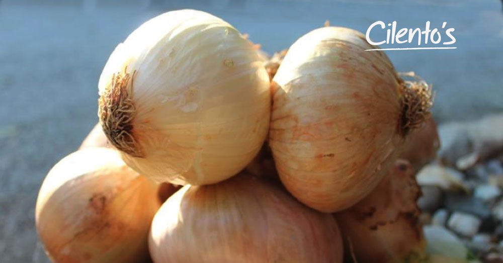 VATOLLA ONIONS