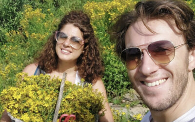 Officina Eleatica: Cosmetica Naturale e Ricerca Erboristica nel Cilento